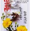 diepthiphuong